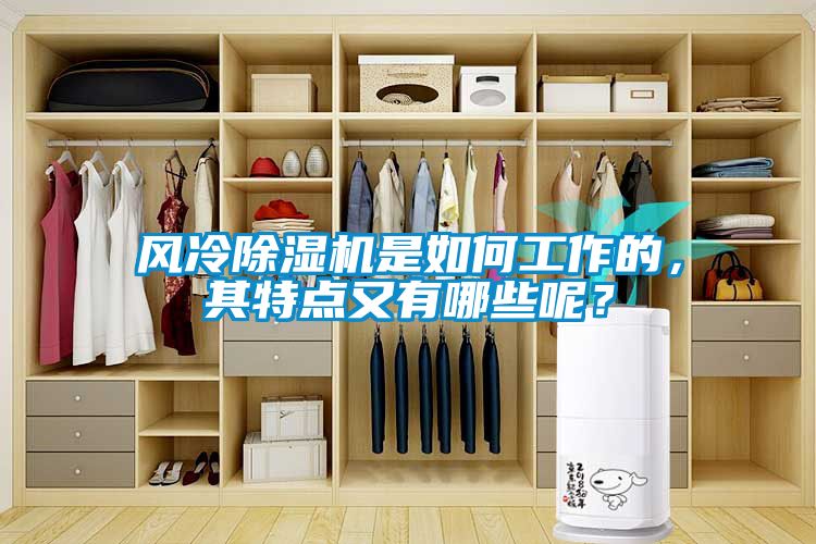 風冷除濕機是如何工作的，其特點又有哪些呢？