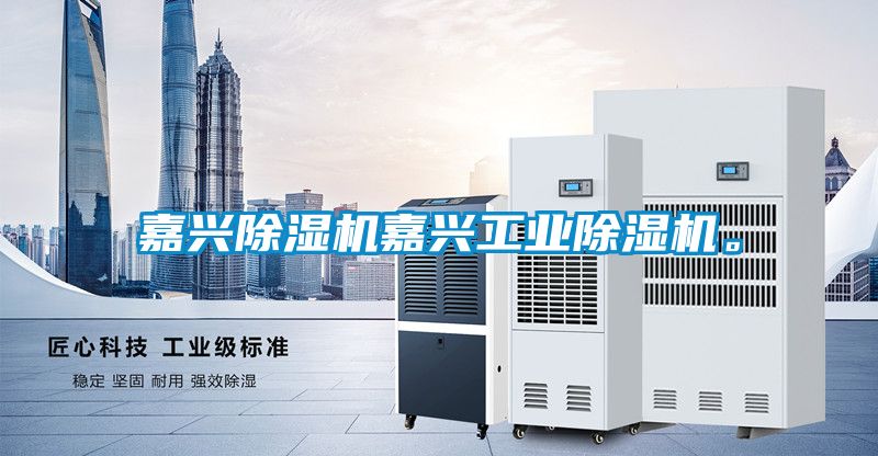 嘉興除濕機嘉興工業除濕機。