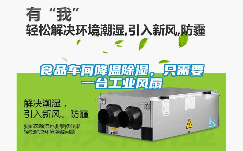食品車間降溫除濕，只需要一臺工業風扇