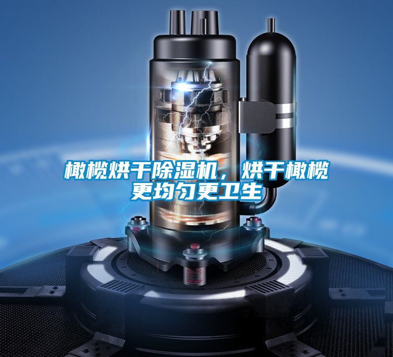 橄欖烘干除濕機，烘干橄欖更均勻更衛生