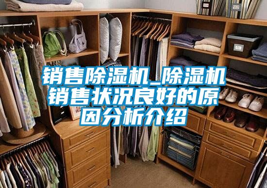 銷(xiāo)售除濕機(jī)_除濕機(jī)銷(xiāo)售狀況良好的原因分析介紹