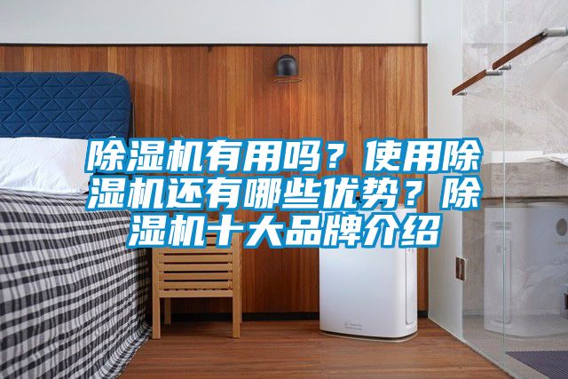 除濕機(jī)有用嗎？使用除濕機(jī)還有哪些優(yōu)勢？除濕機(jī)十大品牌介紹