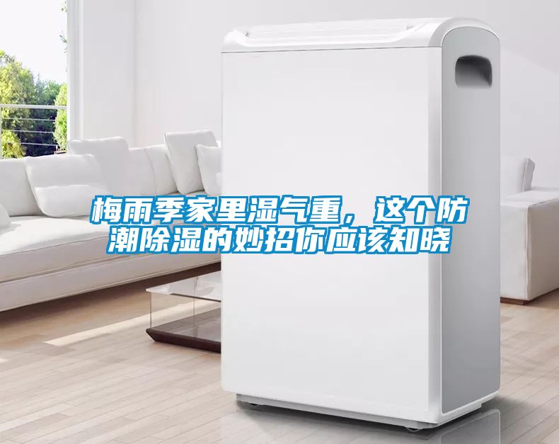 梅雨季家里濕氣重，這個防潮除濕的妙招你應該知曉