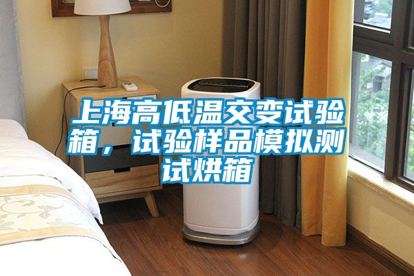 上海高低溫交變試驗箱，試驗樣品模擬測試烘箱