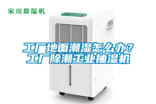 工廠地面潮濕怎么辦？工廠除潮工業抽濕機