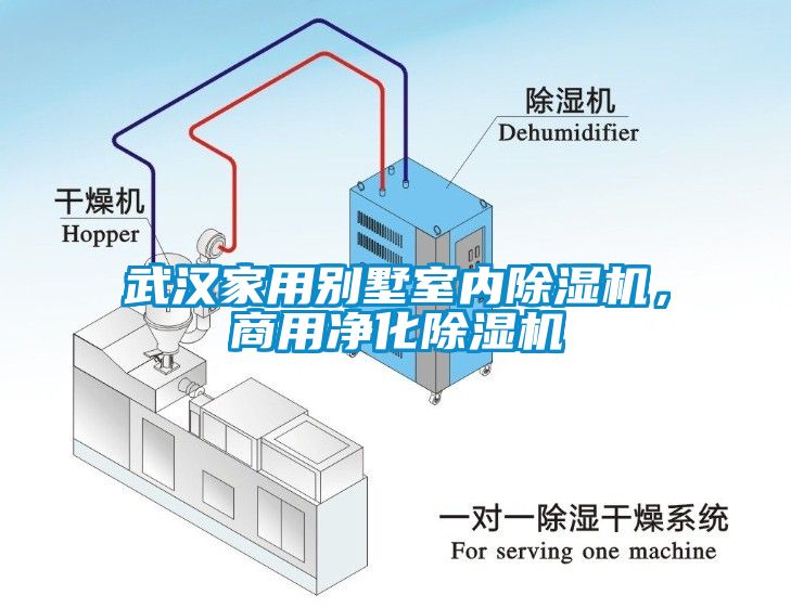 武漢家用別墅室內除濕機，商用凈化除濕機