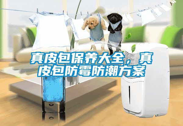 真皮包保養(yǎng)大全，真皮包防霉防潮方案