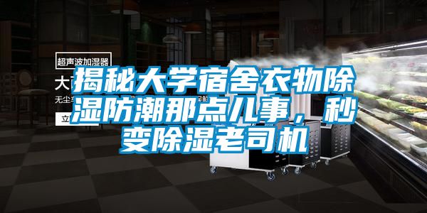 揭秘大學宿舍衣物除濕防潮那點兒事，秒變除濕老司機
