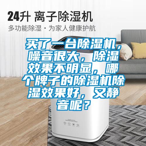 買了一臺除濕機，噪音很大，除濕效果不明顯，哪個牌子的除濕機除濕效果好，又靜音呢？