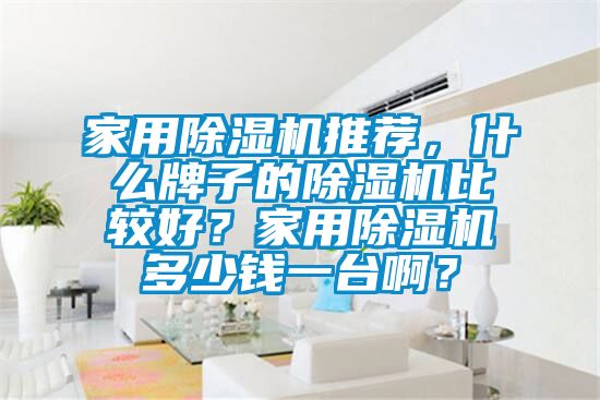 家用除濕機(jī)推薦，什么牌子的除濕機(jī)比較好？家用除濕機(jī)多少錢一臺(tái)啊？