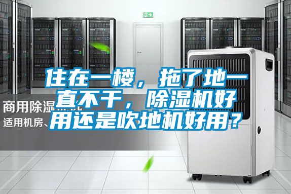 住在一樓，拖了地一直不干，除濕機好用還是吹地機好用？