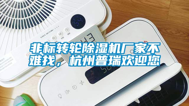 非標轉(zhuǎn)輪除濕機廠家不難找,杭州普瑞歡迎您