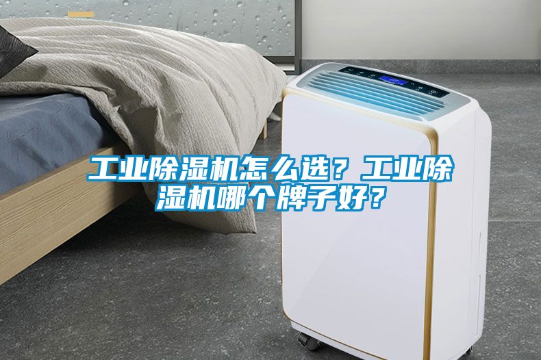 工業除濕機怎么選？工業除濕機哪個牌子好？
