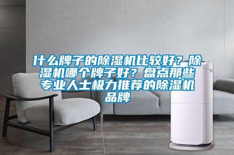 什么牌子的除濕機比較好？除濕機哪個牌子好？盤點那些專業(yè)人士極力推薦的除濕機品牌