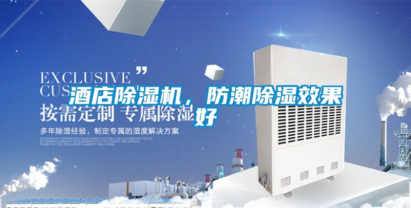 酒店除濕機(jī)，防潮除濕效果好