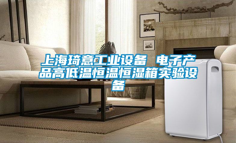 上海琦意工業(yè)設備 電子產(chǎn)品高低溫恒溫恒濕箱實驗設備