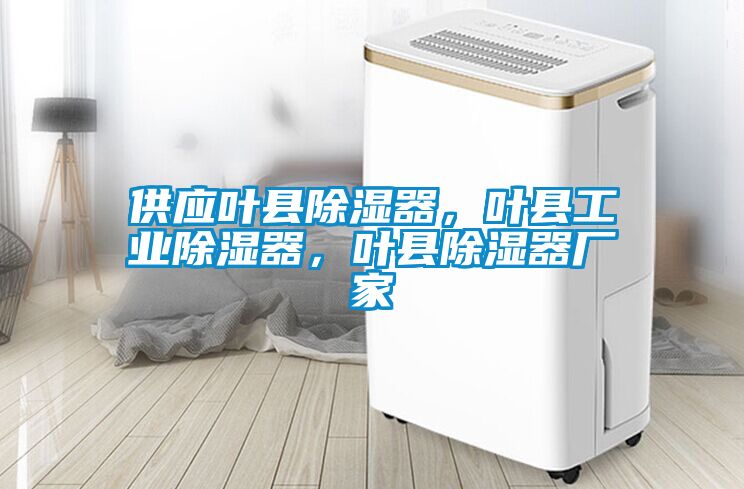 供應葉縣除濕器，葉縣工業除濕器，葉縣除濕器廠家