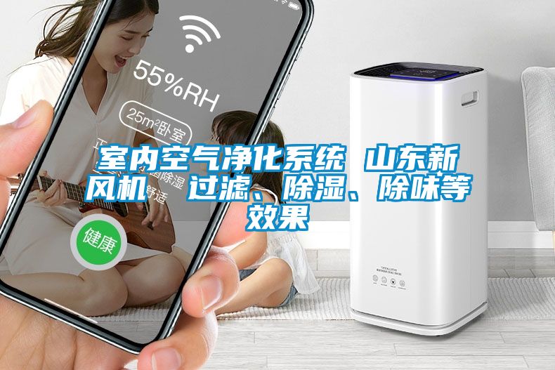 室內(nèi)空氣凈化系統(tǒng) 山東新風機  過濾、除濕、除味等效果