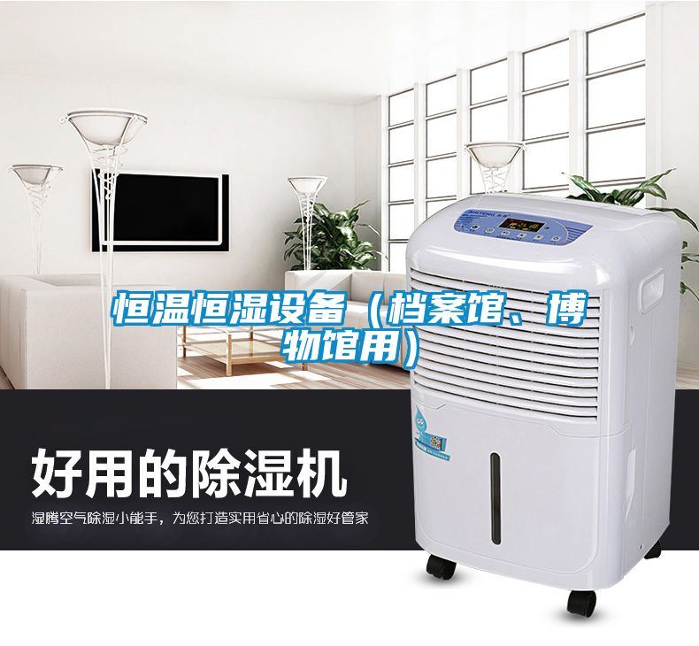 恒溫恒濕設(shè)備（檔案館、博物館用）