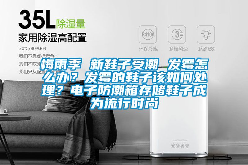 梅雨季 新鞋子受潮 發霉怎么辦？發霉的鞋子該如何處理？電子防潮箱存儲鞋子成為流行時尚