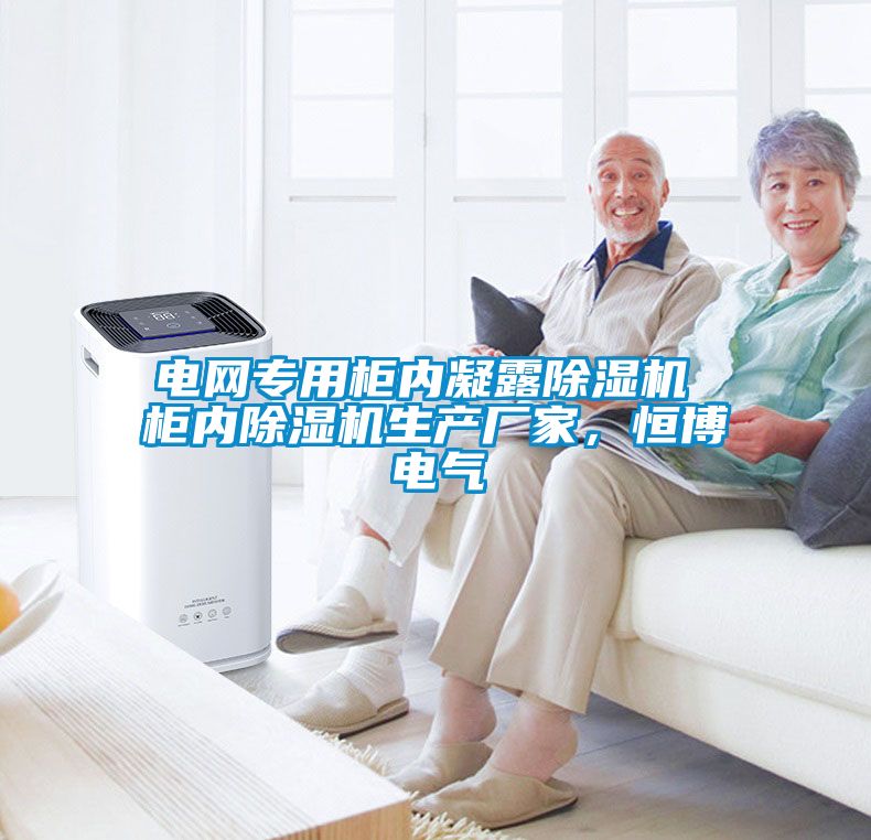 電網(wǎng)專(zhuān)用柜內(nèi)凝露除濕機(jī) 柜內(nèi)除濕機(jī)生產(chǎn)廠(chǎng)家，恒博電氣