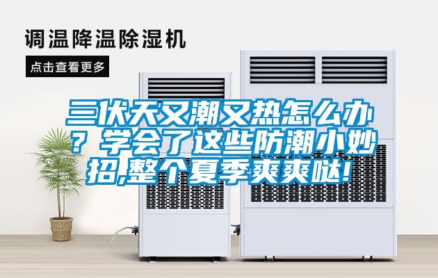 三伏天又潮又熱怎么辦？學會了這些防潮小妙招,整個夏季爽爽噠!