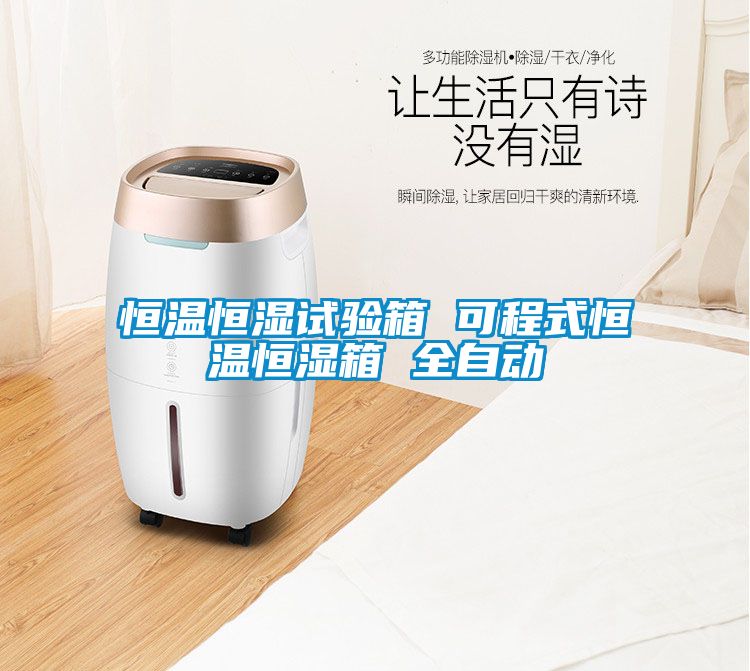 恒溫恒濕試驗(yàn)箱 可程式恒溫恒濕箱 全自動