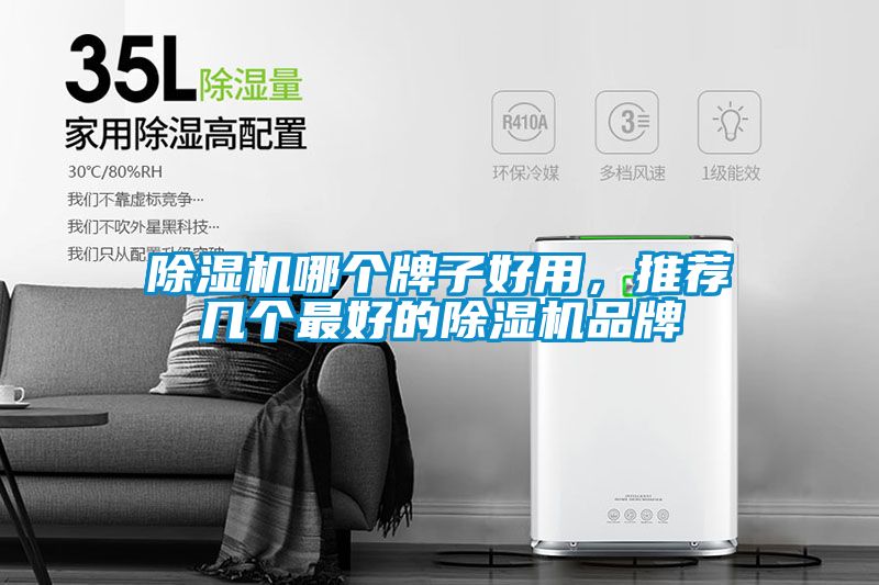 除濕機(jī)哪個牌子好用，推薦幾個最好的除濕機(jī)品牌