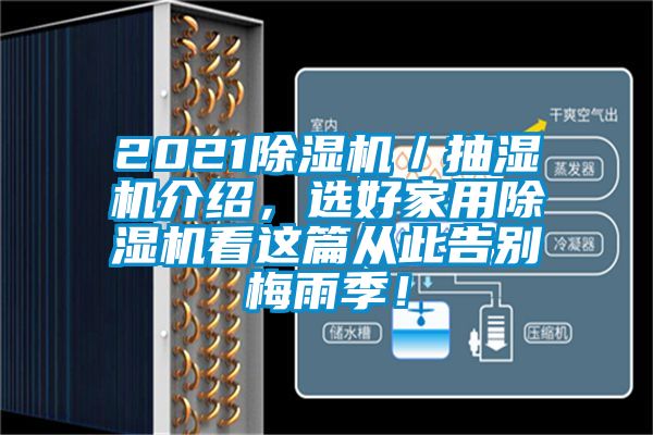 2021除濕機／抽濕機介紹，選好家用除濕機看這篇從此告別梅雨季！