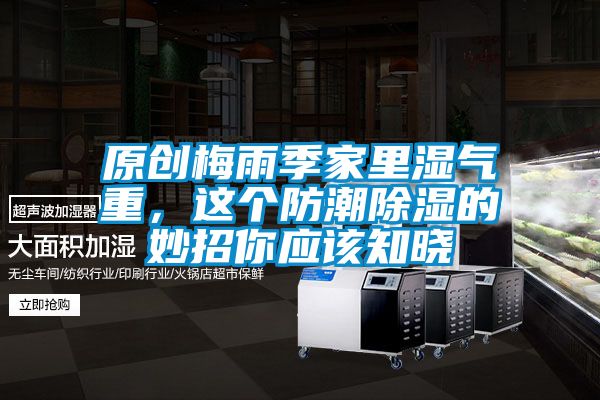 原創梅雨季家里濕氣重，這個防潮除濕的妙招你應該知曉