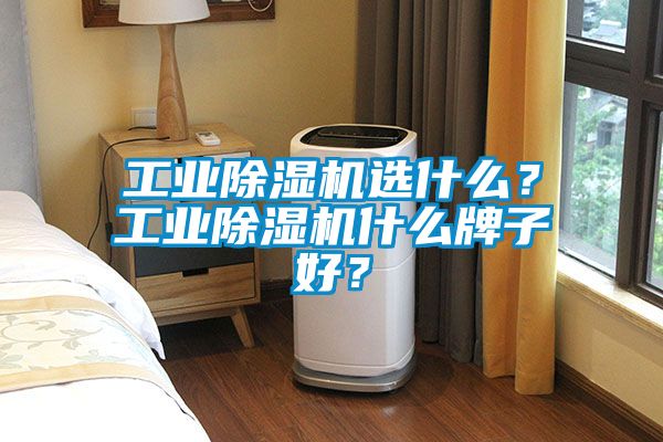 工業除濕機選什么？工業除濕機什么牌子好？