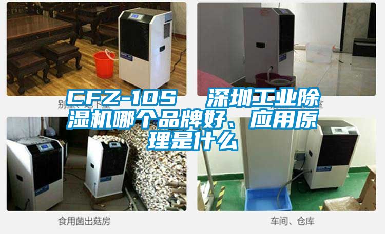 CFZ-10S  深圳工業除濕機哪個品牌好、應用原理是什么